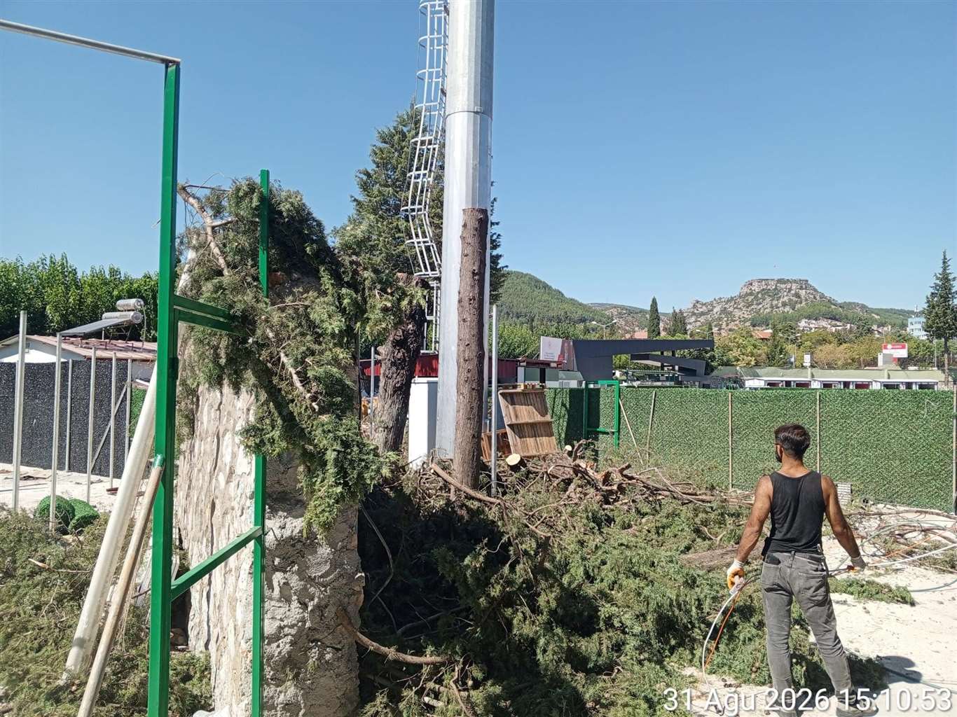 Atatürk Stadyumu içindeki 3 ağaç kesildi haberi