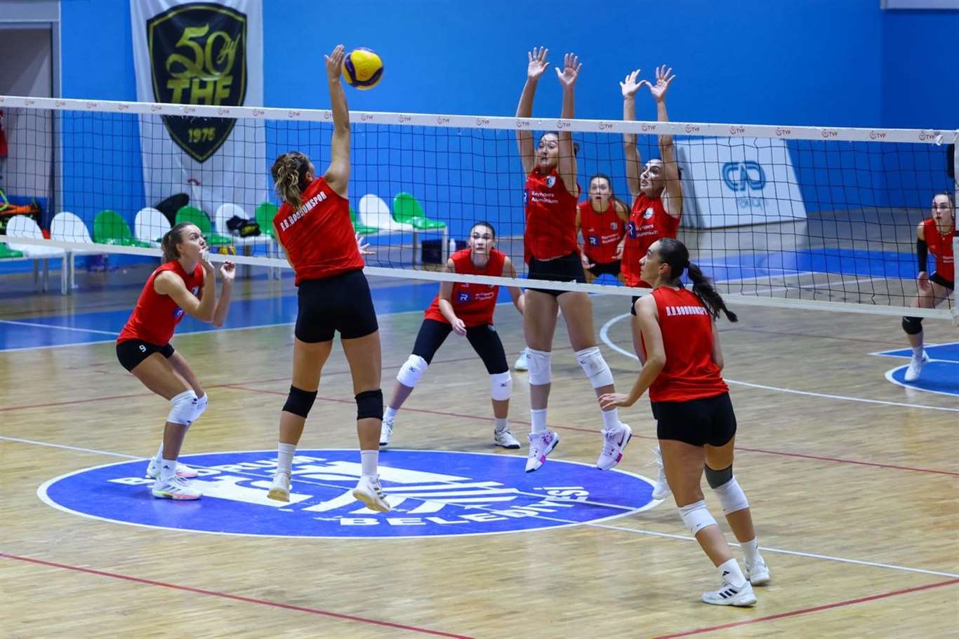 Bodrum’un İncileri, Fenerbahçe Medicana’yı konuk edecek haberi