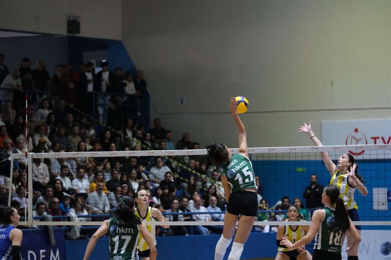 Kadınlar Voleybol 1. Ligi: Bodrum Belediyesi Bodrumspor: 3 - Fenerbahçe: 0 haberi