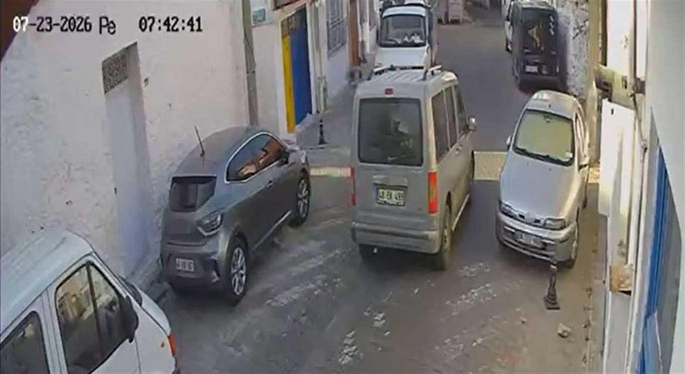 Kedilerin üzerinden geçen sürücü durmadan uzaklaştı haberi