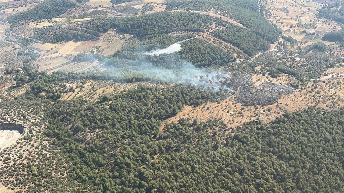 Milas'ta çıkan zirai yangın kısa sürede kontrol altına alındı haberi