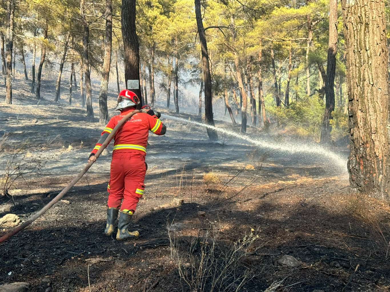 Ortaca'da orman yangını haberi