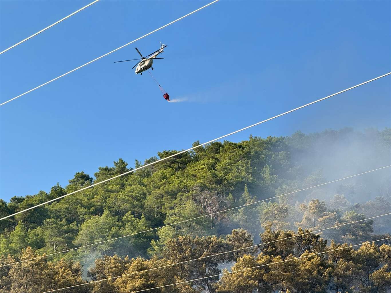 Ortaca'daki orman yangını kontrol altına alındı haberi