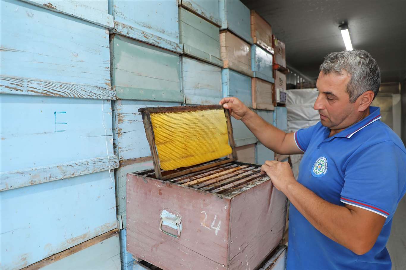 Temiz Petek’ projesi yöre arıcılarının maliyetini düşürdü haberi