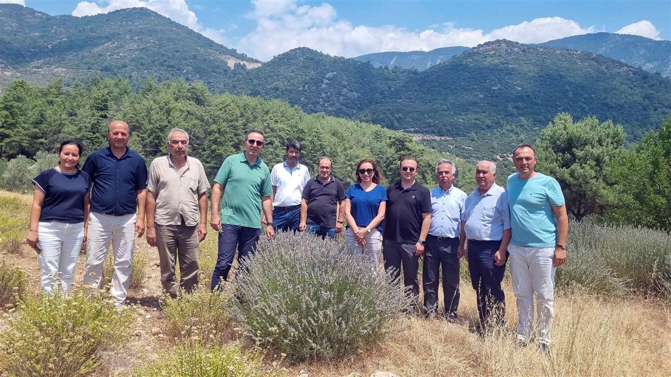 Tıbbi ve Aromatik Bitkileri yerinde inceleme haberi