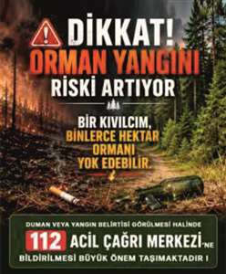 Türkiye Orman-İş Sendikası'ndan yangınlara karşı dikkat çağrısı haberi