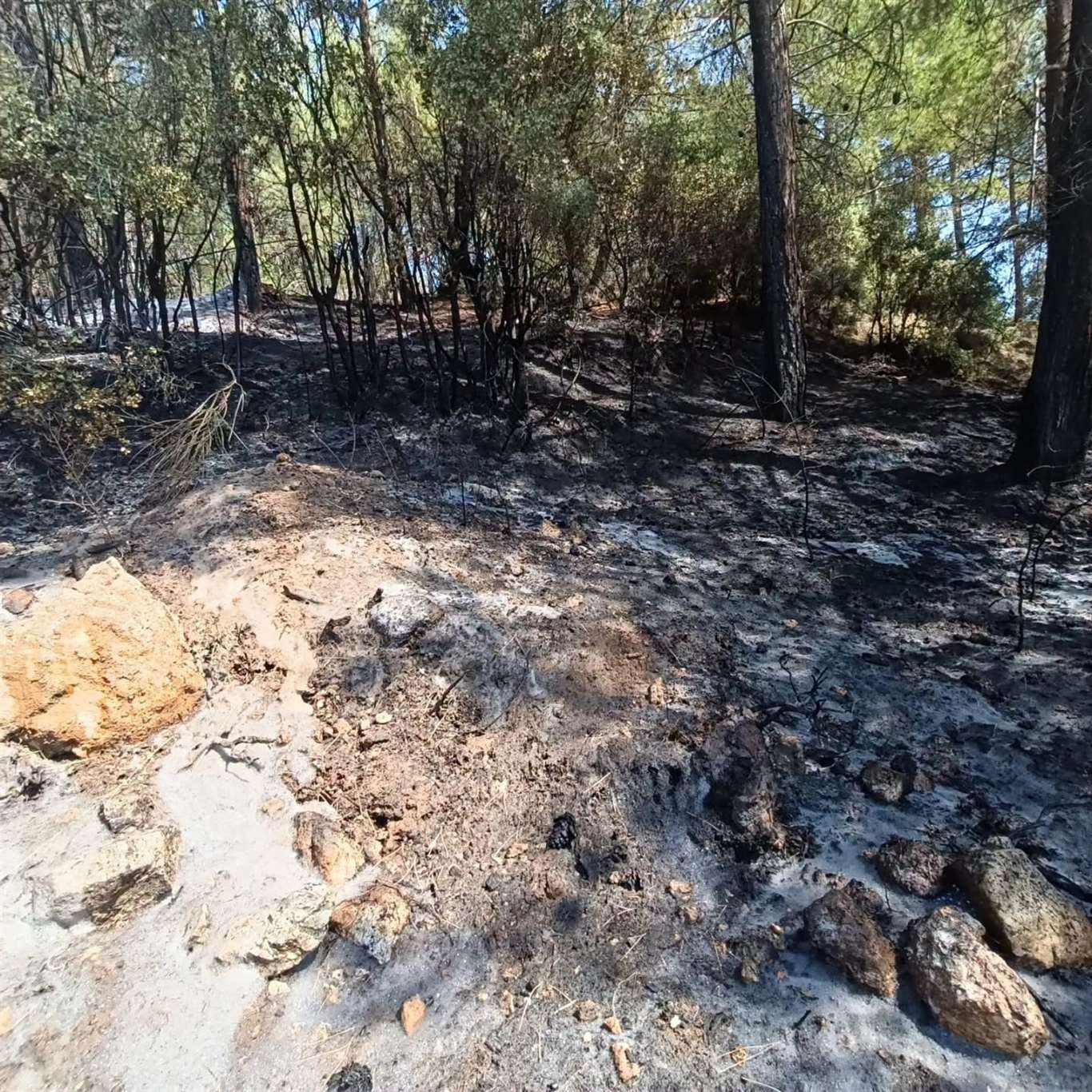    Seydikemer'de 3 ayrı noktada çıkan yangınlar söndürüldü haberi