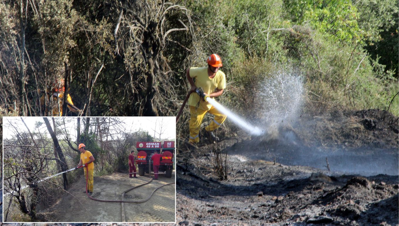 Ula’da 2 hektar alan yandı haberi