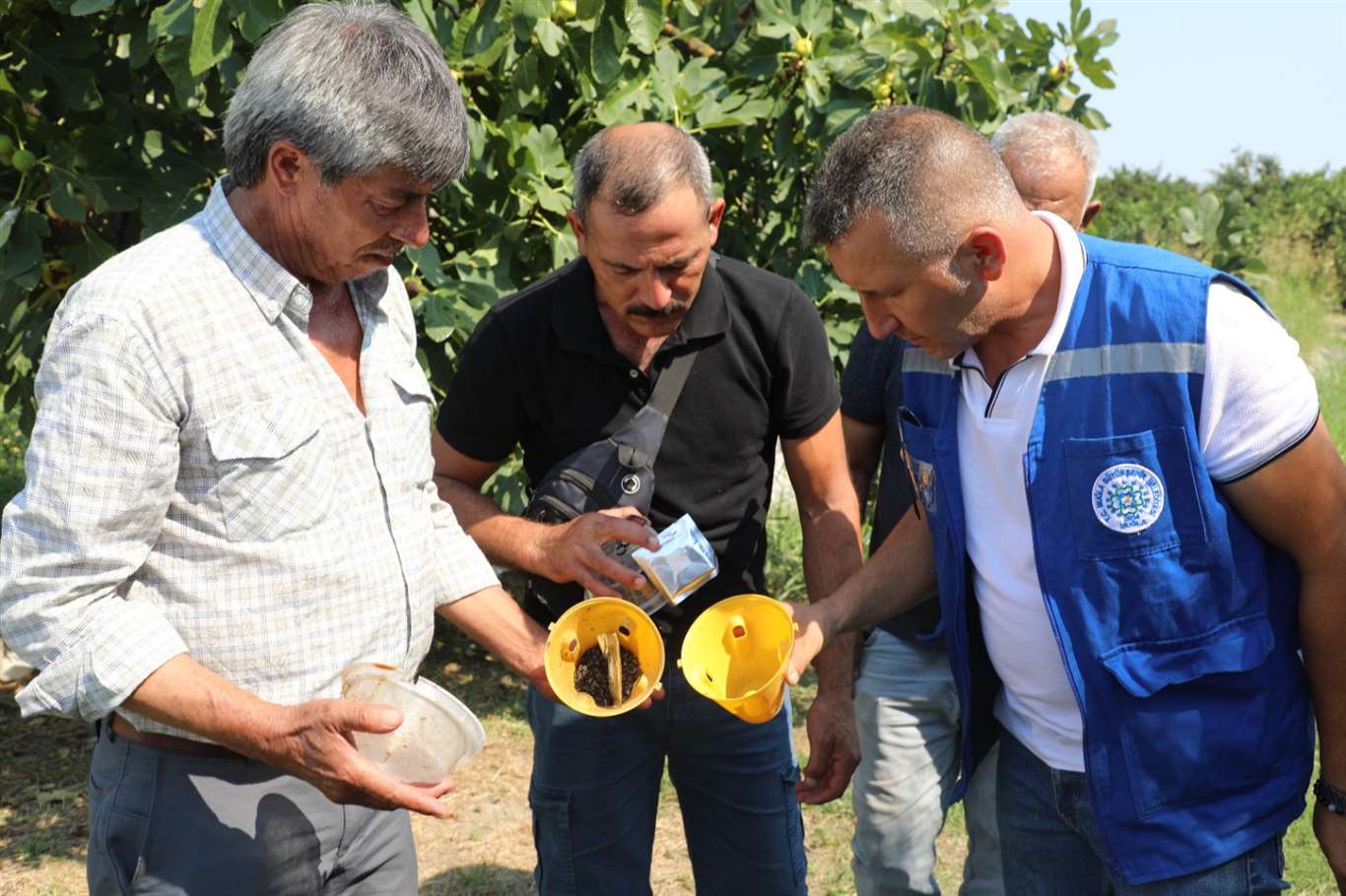  Muğla’da üreticinin emeğine çevre dostu koruma haberi