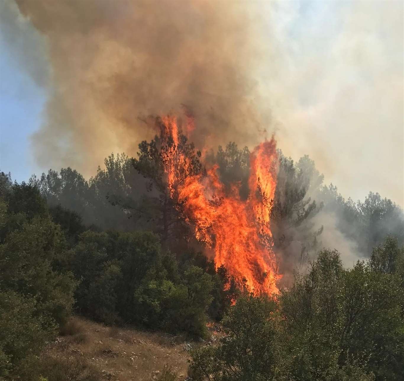 Muğla’da orman yangınına müdahale sürüyor haberi