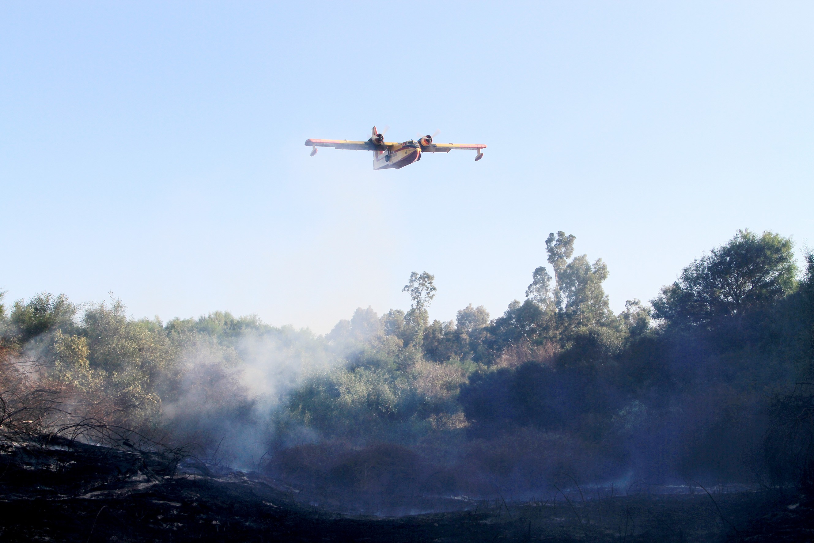   Seydikemer’deki yangında 2 hektarlık alan zarar gördü haberi