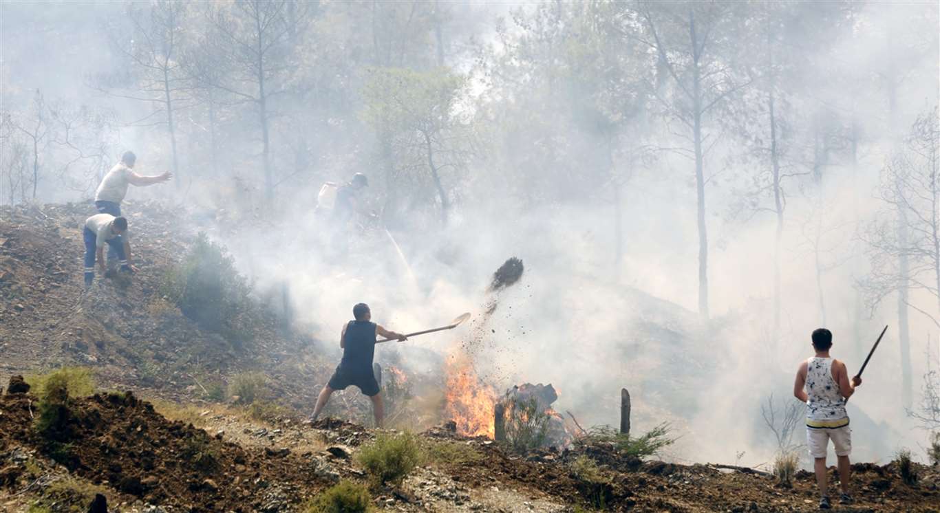 Yeşil vatan için vatandaşlar seferber oluyor haberi