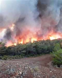 EGM'den Marmaris'teki orman yangınıyla ilgili provokasyon içerikli paylaşımlara inceleme haberi