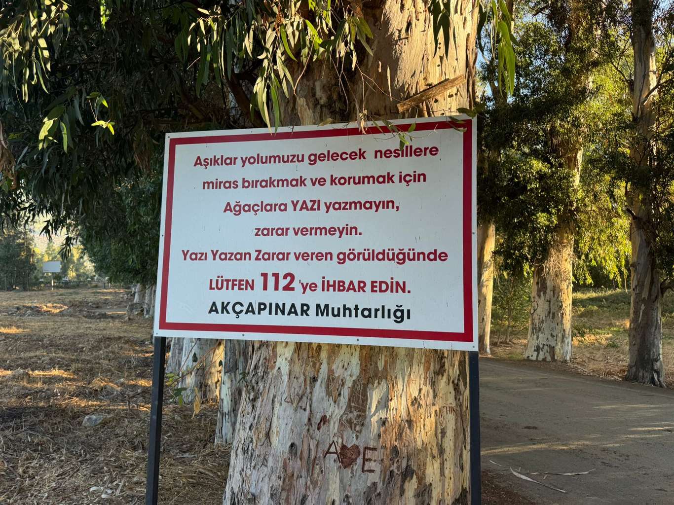 Ağaçlı Yol'daki yazı tahribatına karşı uyarı tabelası asıldı haberi
