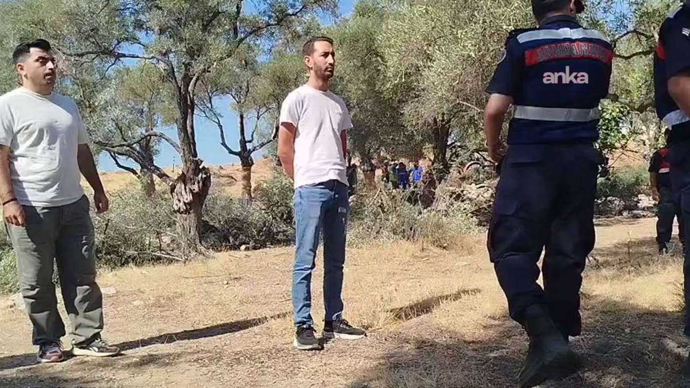 Akbelen'de zeytin kıyımı başladı: Jandarma eşliğinde ağaçlar söküldü, köylüler gözaltına alındı haberi