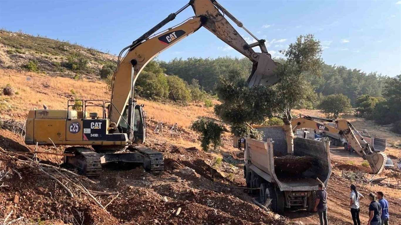  Akbelen'de 5 bin 93 zeytin ağacı sökülecek haberi