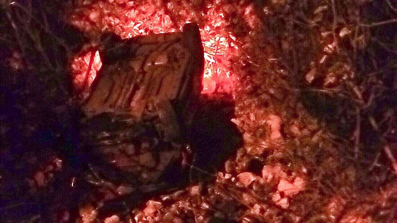 Menteşe'de dereye düşen araçtaki sürücü yaralandı haberi