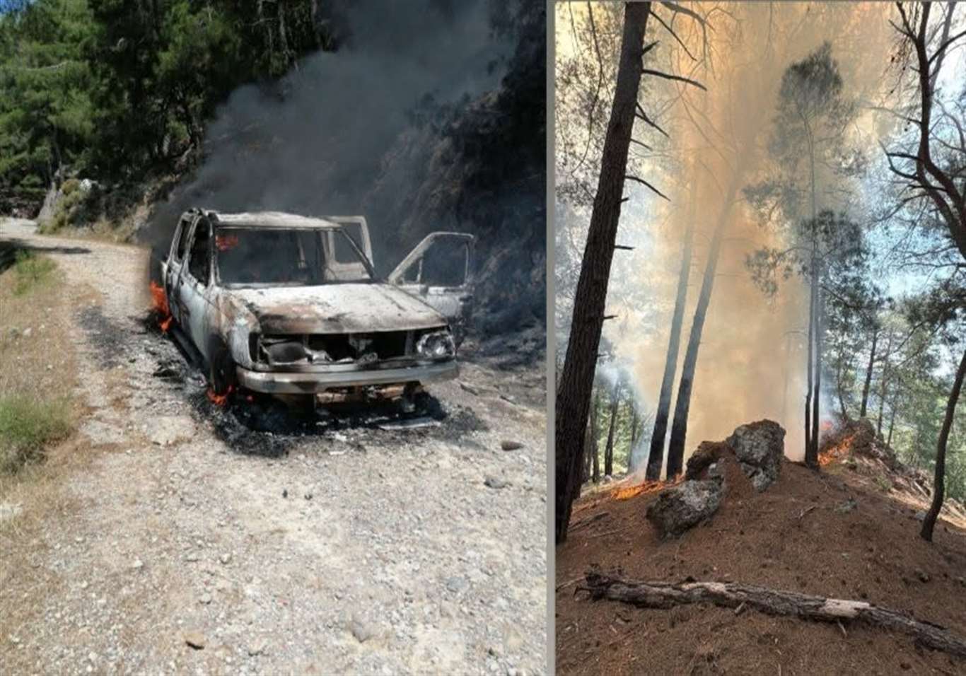 Araç yangını ormanlık alana sıçradı haberi