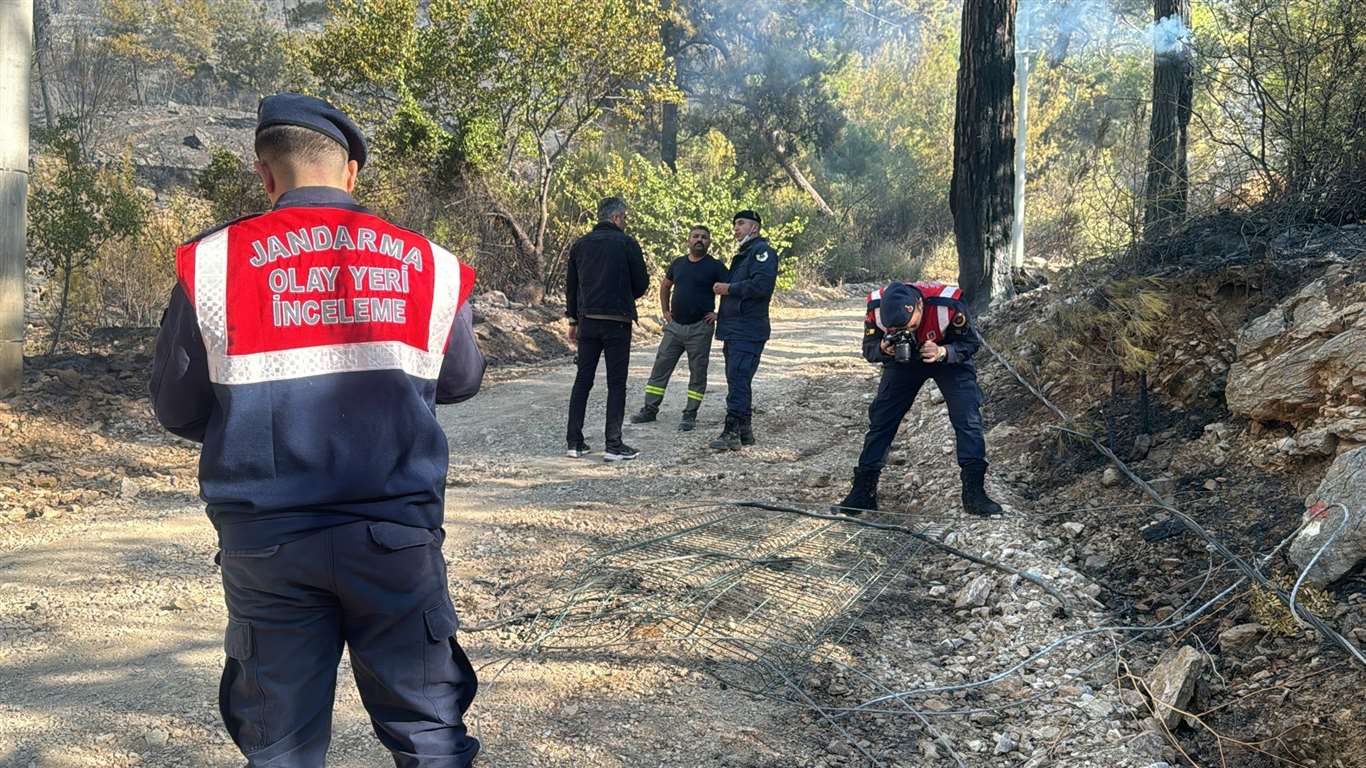 Asker ve itfaiye sahaya indi, yangının çıkış noktası ve sebebi araştırılıyor haberi