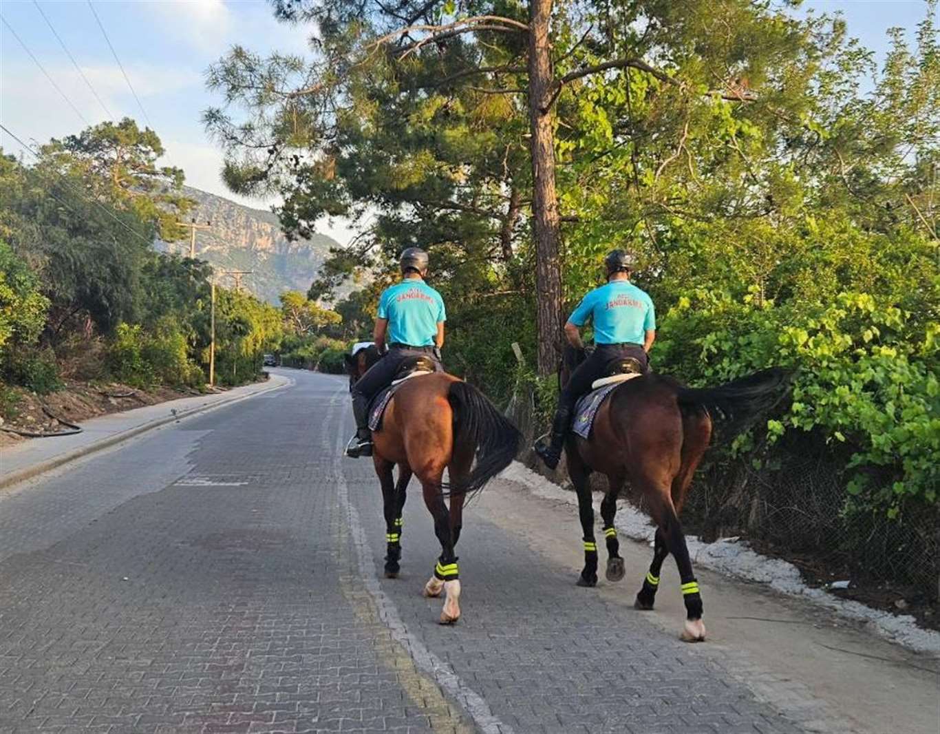 Atlı jandarma timleri görev başında haberi