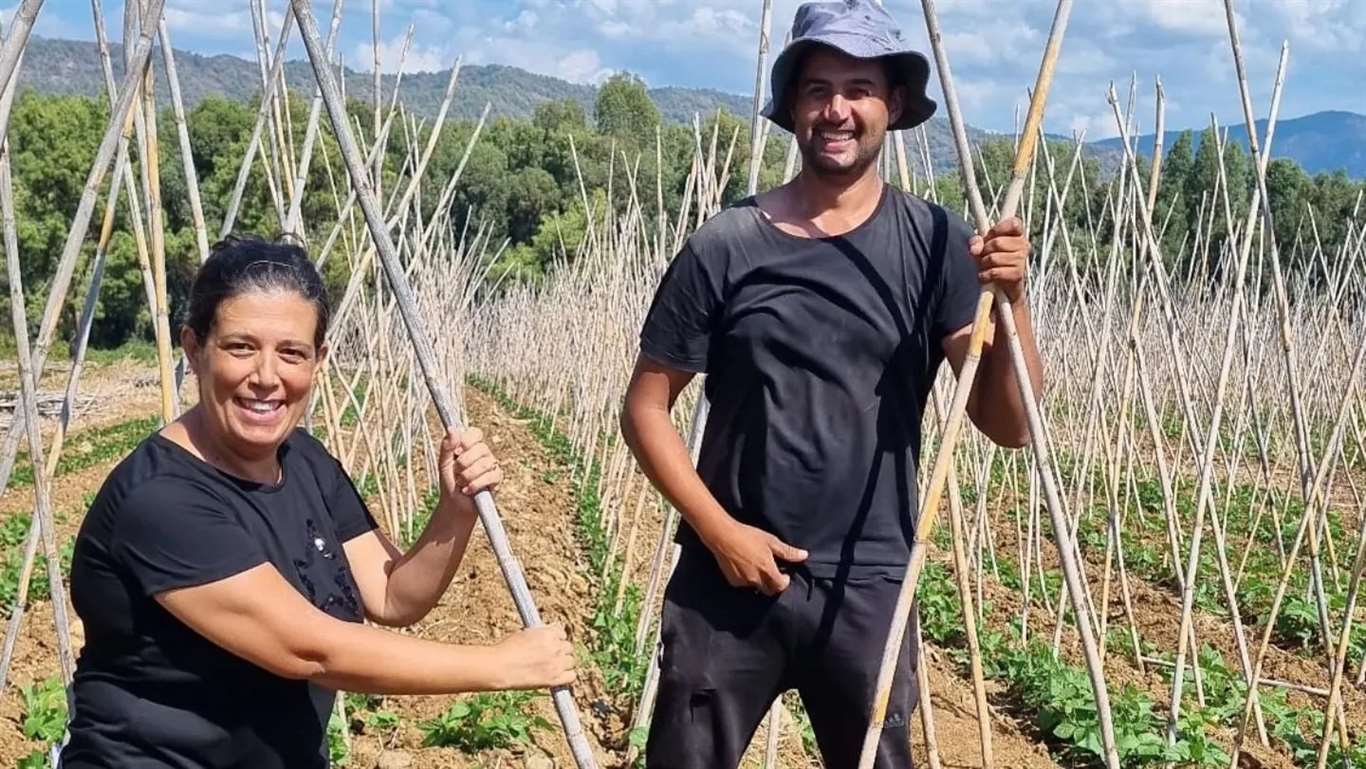          Fethiye'de baklagil üretimi destekleniyor haberi