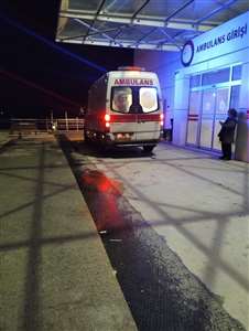 Balık firmasında amonyak zehirlenmesi: 14 kişi hastaneye kaldırıldı haberi