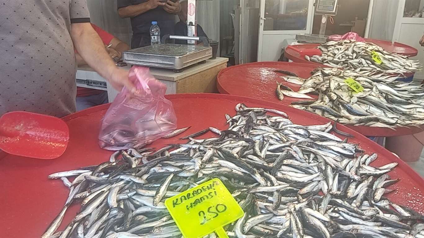    Balık sezonu açıldı: Karadeniz hamsisi 250 TL'den tezgahlarda haberi