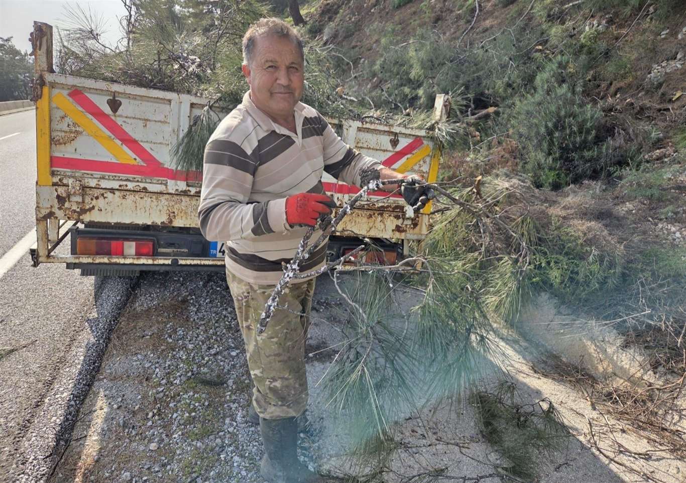 Basralı dallar arıcılar için ormanlık alana bırakıldı haberi