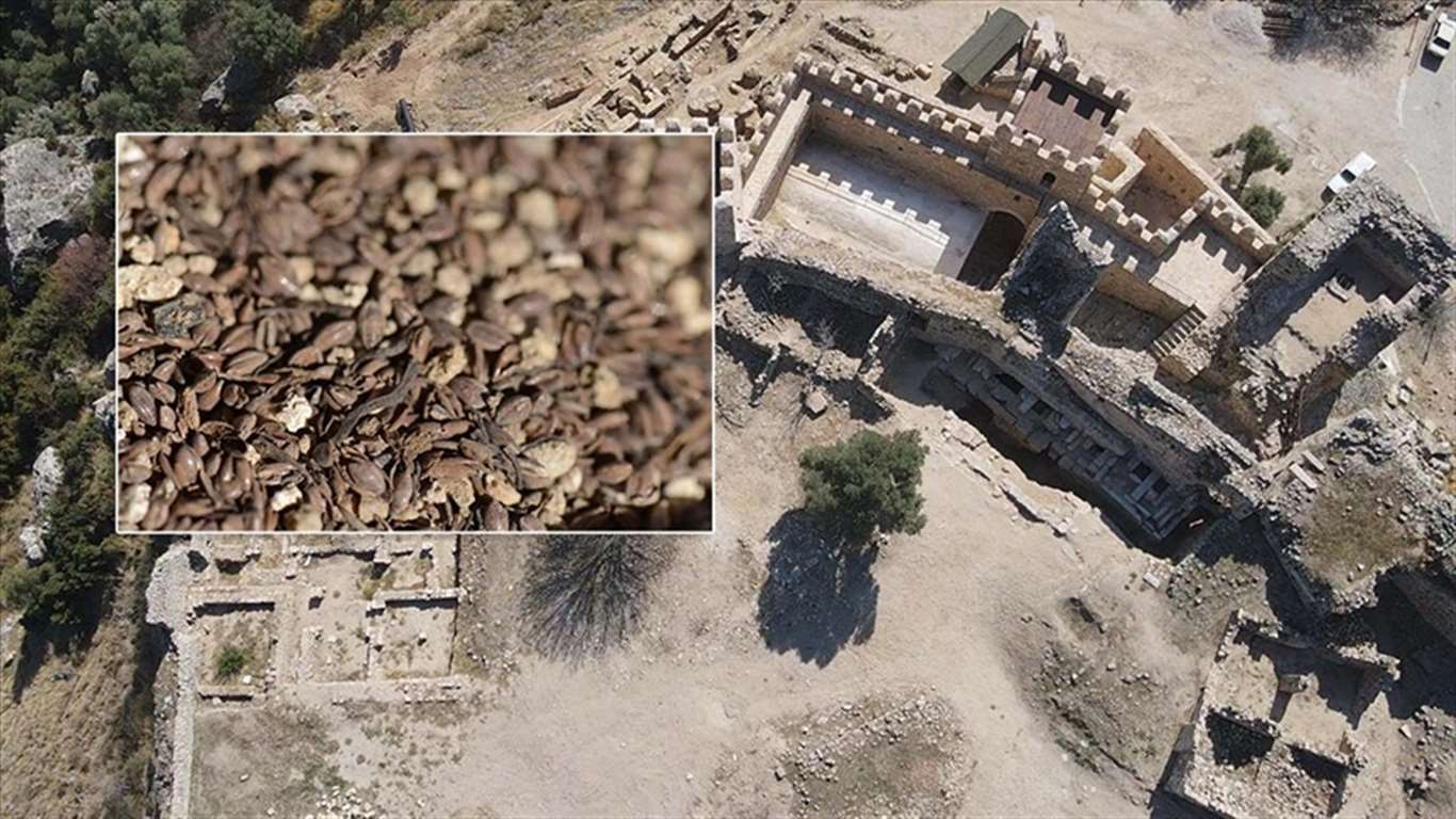 Beçin Kalesi'nde 600 yıllık darı tohumları bulundu haberi
