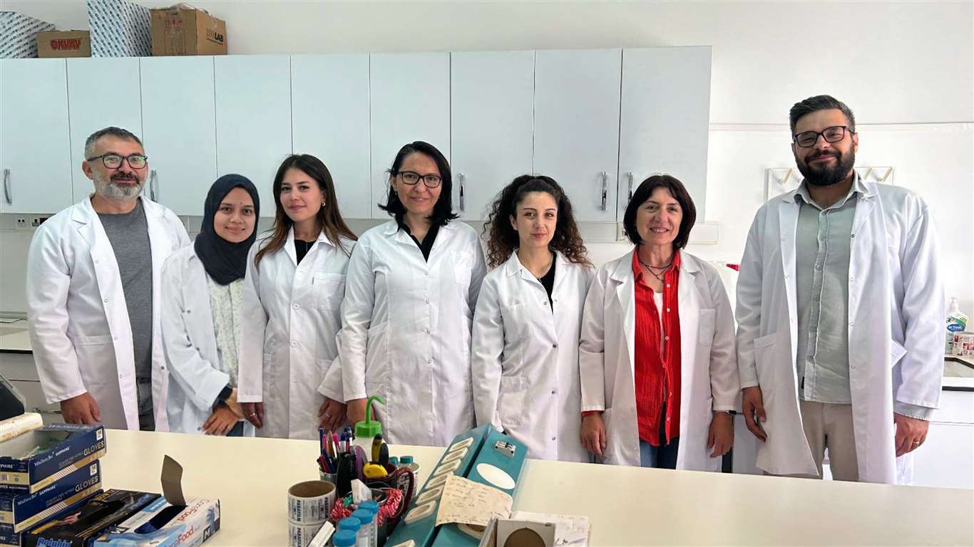  MSKÜ'den bilimsel başarı: ACS Omega kapağında yer aldı haberi