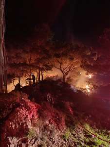 Bodrum'da ormanlık alanda yangın: 2 dönüm alan zarar gördü haberi