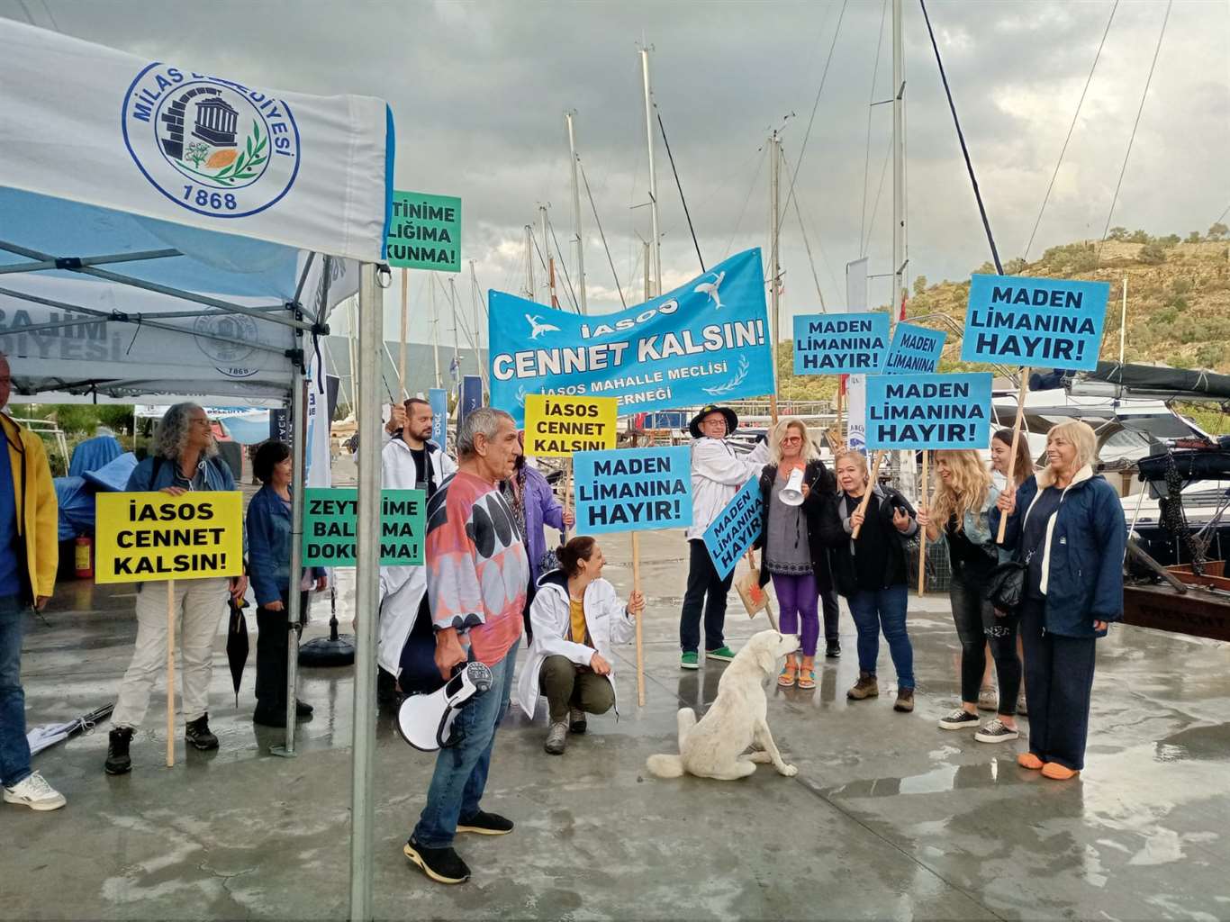 Bodrum Cup'ta sanayi limanı girişimine tepki haberi