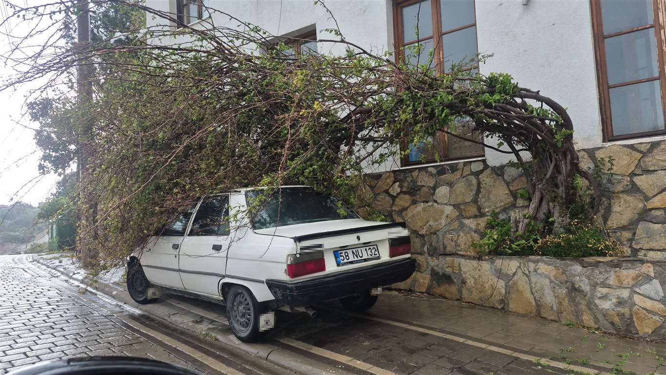  Bodrum'da fırtına etkili oldu, 2 tekne karaya oturdu haberi