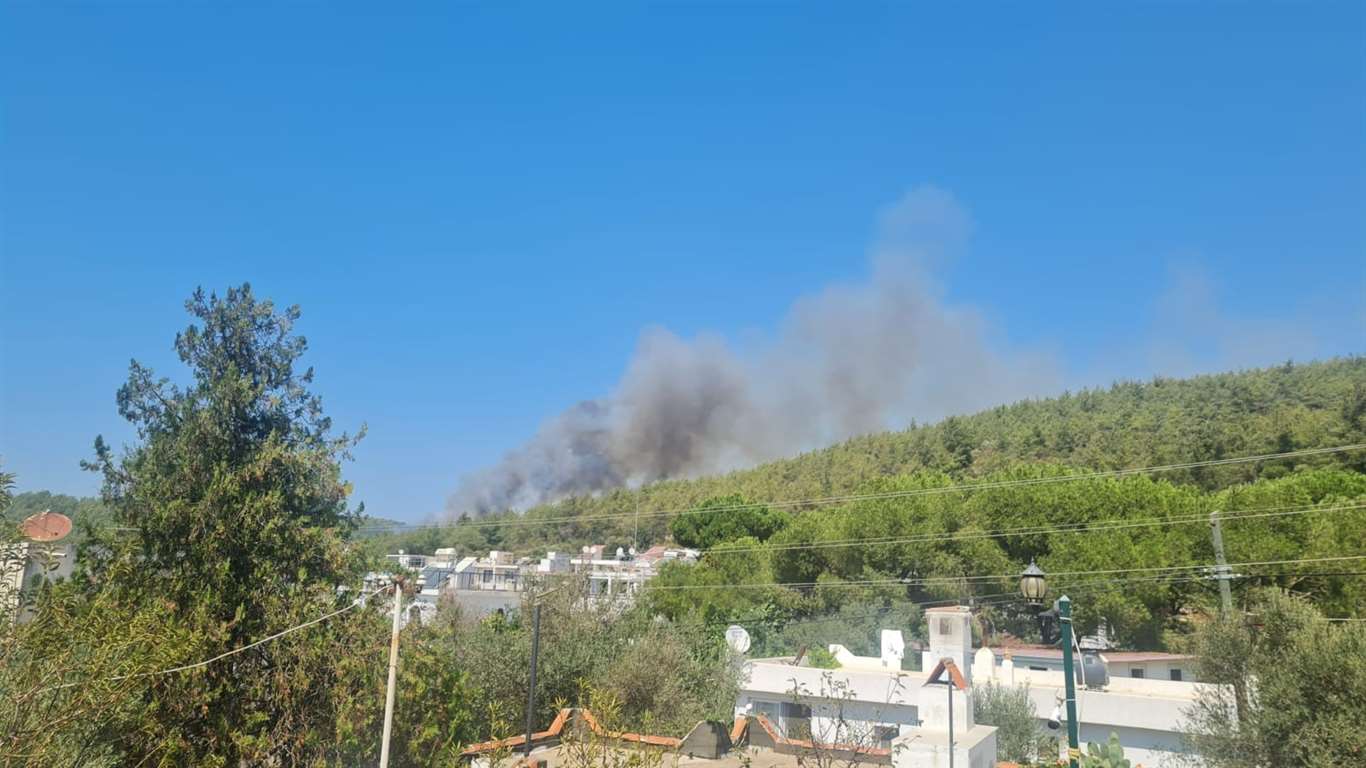 Bodrum'da orman yangını başladı haberi