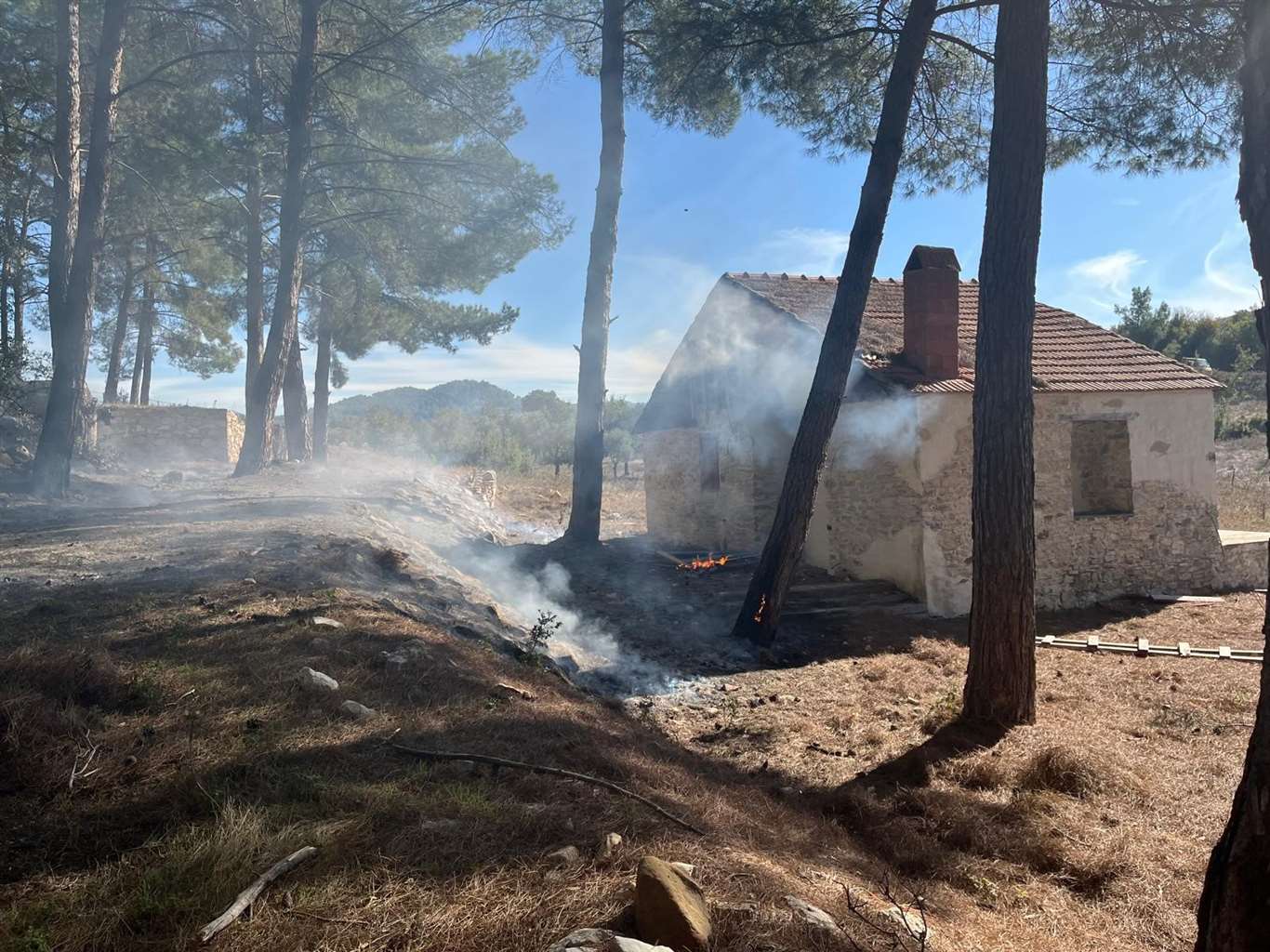 Milas'taki orman yangınları büyümeden söndürüldü haberi