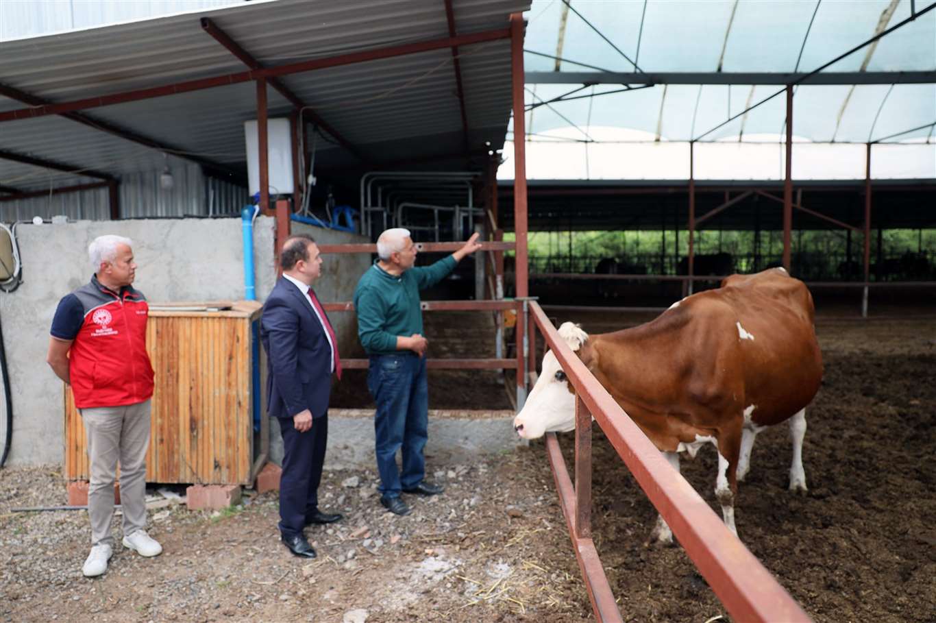 'Anneleri Aşılat, Buzağını Yaşat' projesi eğitim toplantısı Ortaca'da gerçekleştirildi haberi