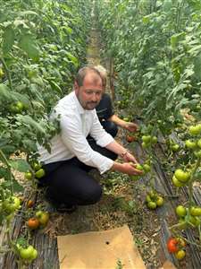 Başkan Aras'a Gengizhan Güngör'den yanıt: 