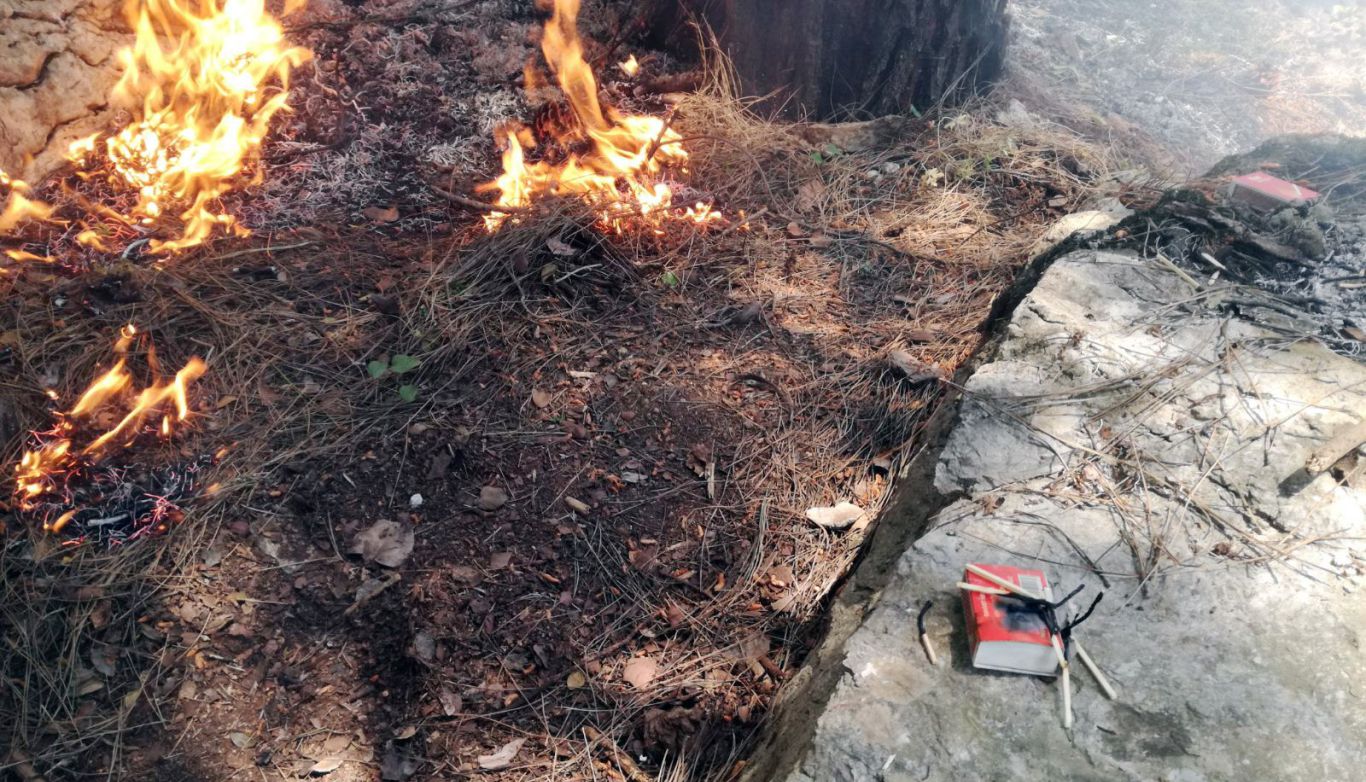 Marmaris'teki orman yangınını oyun oynamak isteyen 3 çocuk çıkartmış haberi