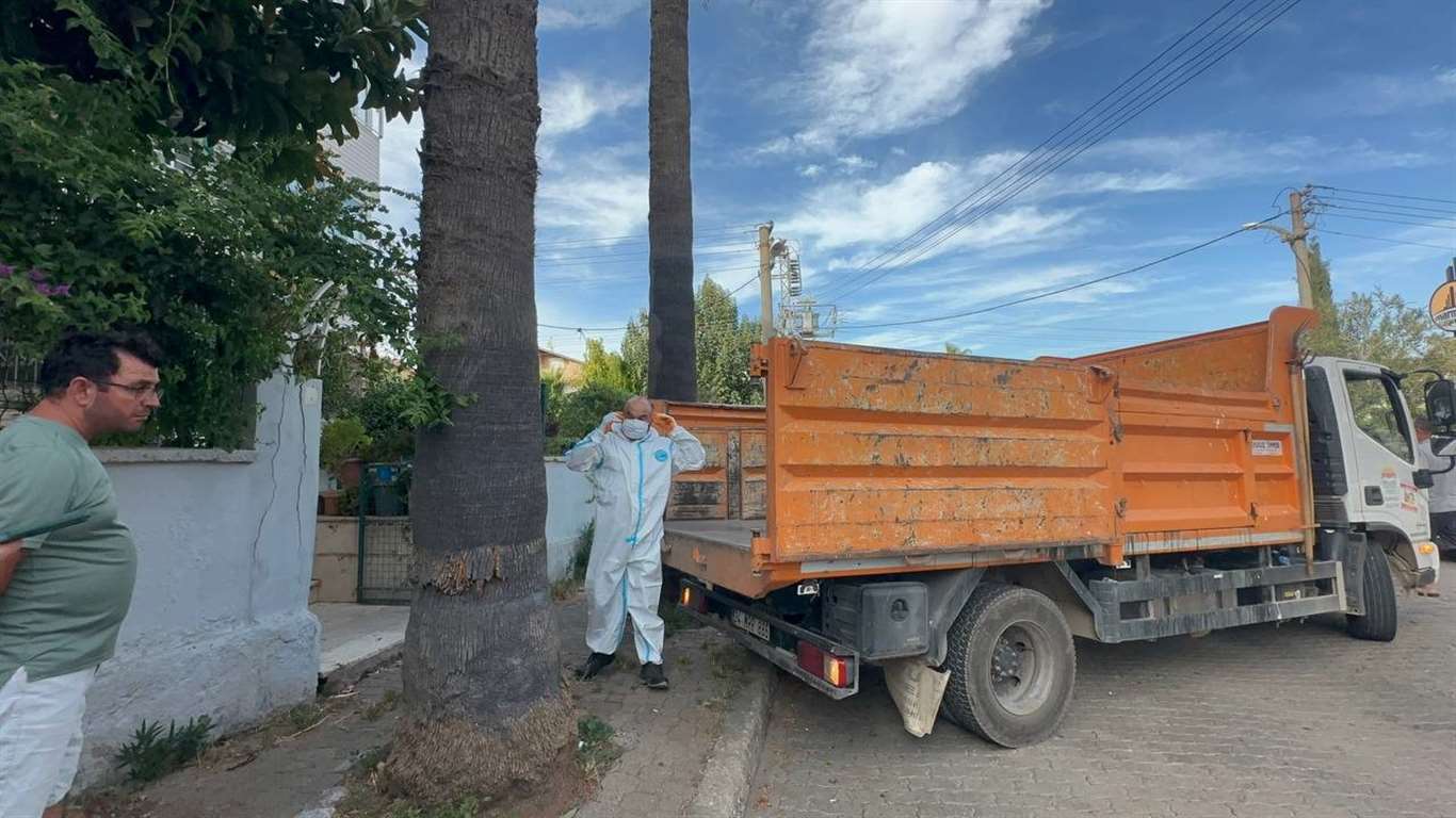 Marmaris'teki çöp evden bir kamyon çöp ve 30'a yakın kedi çıktı haberi