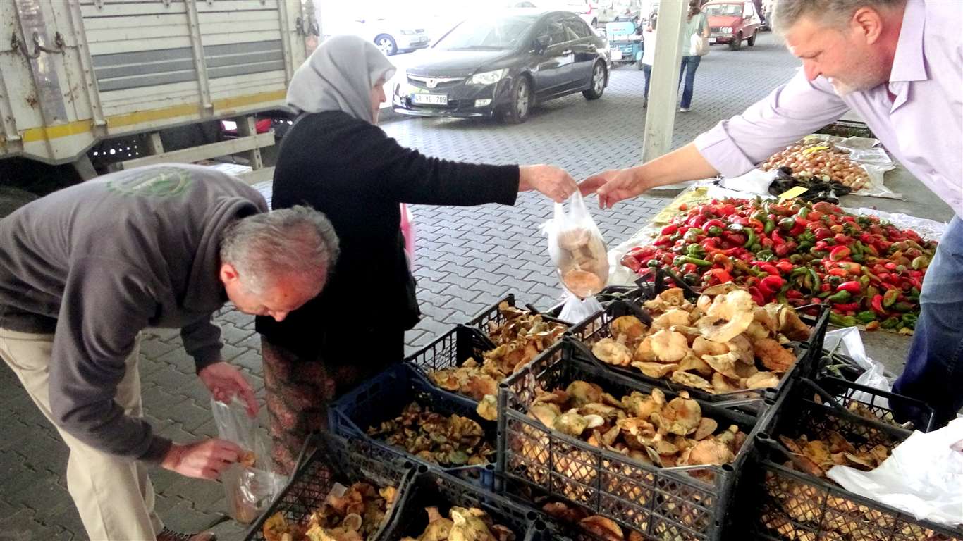 Çıntarlar pazar tezgahlarında yerini aldı haberi