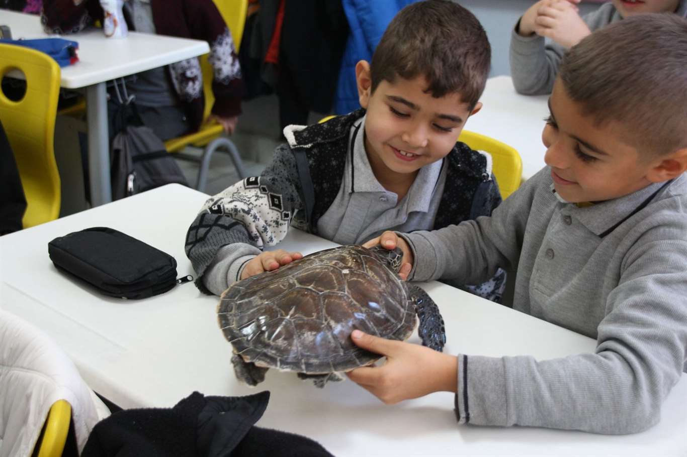       Çocuklar deniz canlılarını öğreniyor haberi