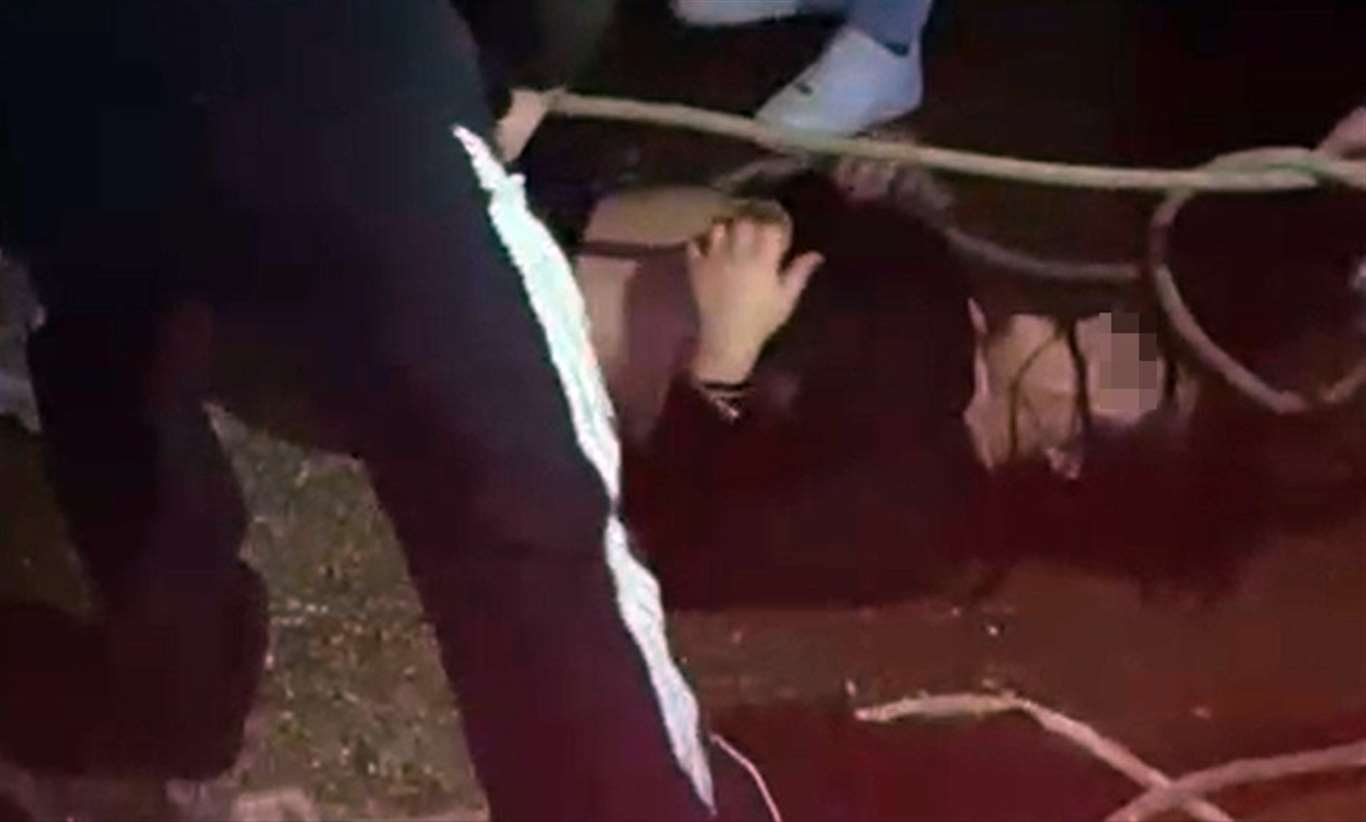 Denize atlayan kadını vatandaşlar kurtardı haberi