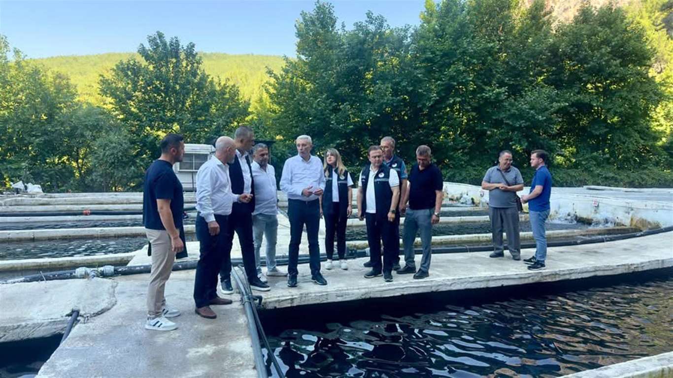 Eşen Havzası'ndaki Alabalık tesislerinde sektör değerlendirmesi haberi