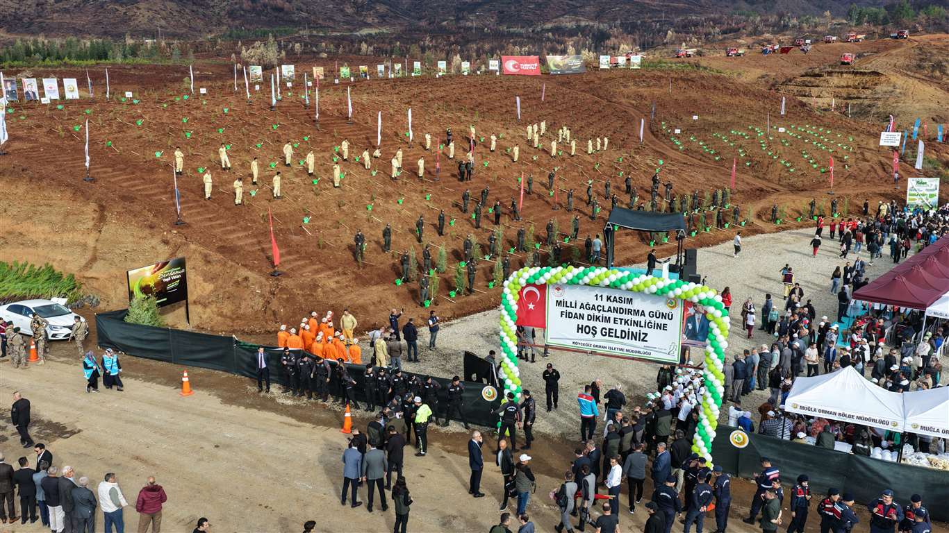 Muğla'da 33 bin fidan toprakla buluştu haberi