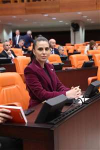    Muğla'ya maden kuşatması: Özcan, 4.455 hektarlık maden ihalesini Meclis'e taşıdı haberi