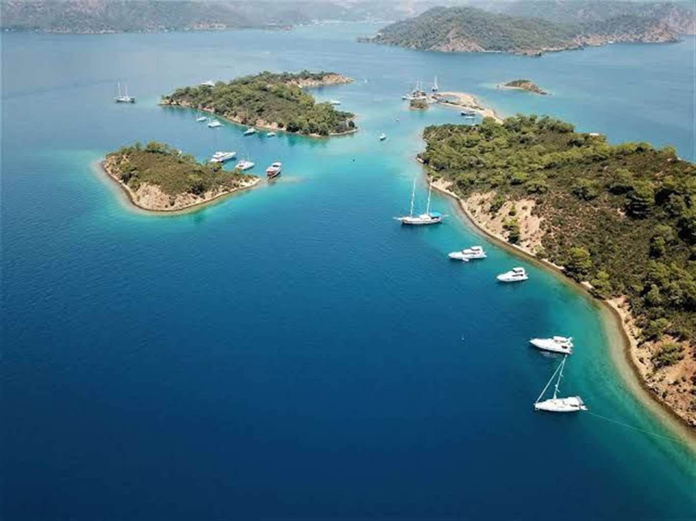 Göcek'te kaplumbağalar için müzik yasağı! haberi