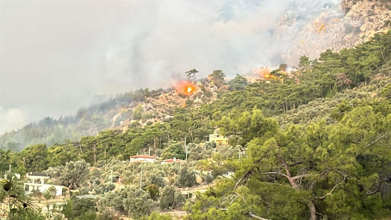 Muğla Gökova Körfezi'nde orman yangını haberi