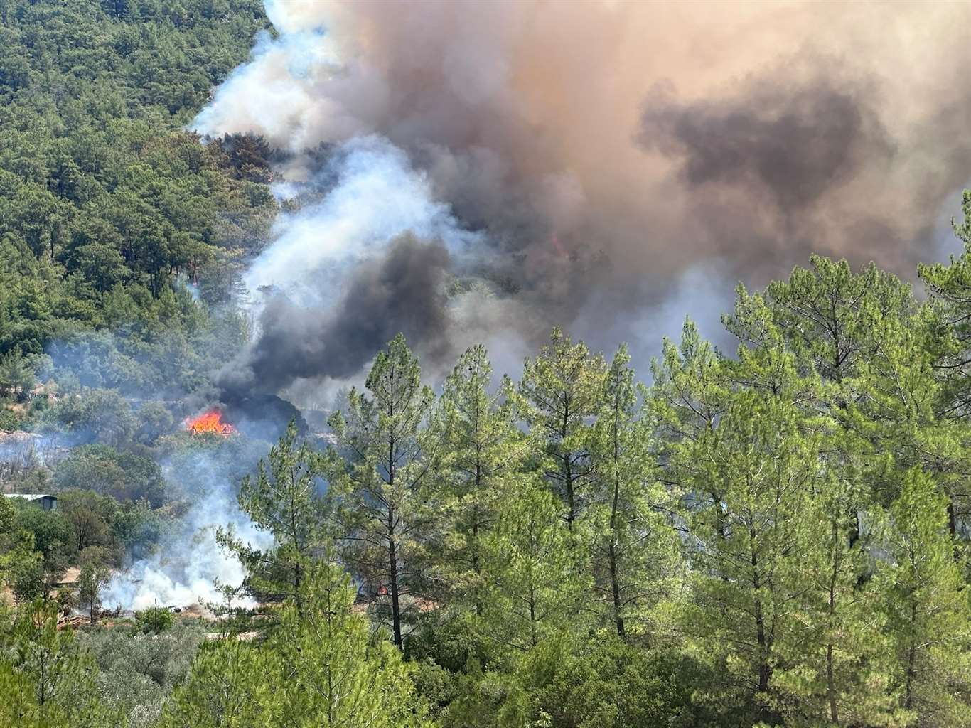 Fethiye Gökçeovacık Mahallesinde yangın haberi
