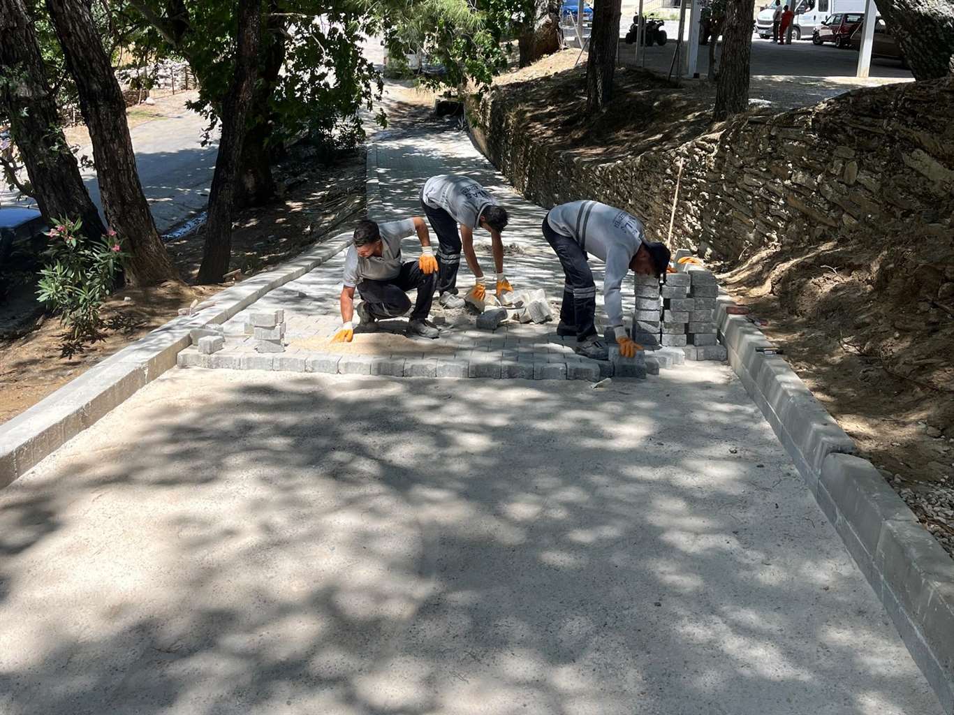 Güllük-Kıyıkışlacık deniz yolu seferleri başladı haberi
