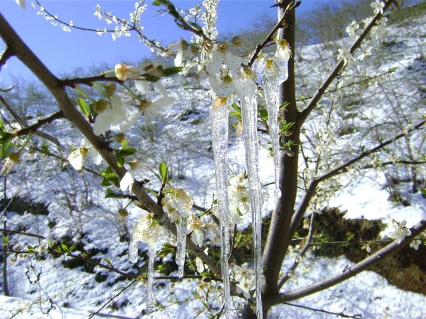    Muğla'da hava sıcaklığı 6-12 derece düşecek haberi